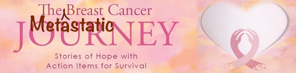 the metastatic breast cancer journey banner